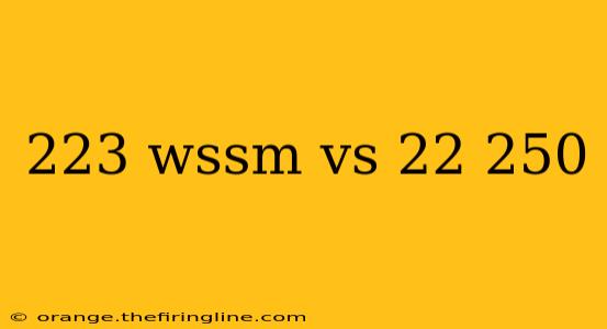 223 wssm vs 22 250