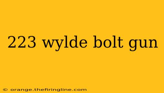 223 wylde bolt gun