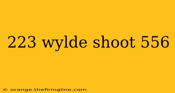 223 wylde shoot 556