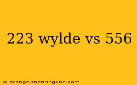 223 wylde vs 556