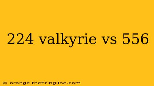 224 valkyrie vs 556