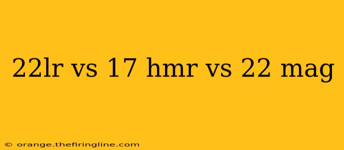 22lr vs 17 hmr vs 22 mag