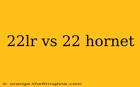 22lr vs 22 hornet