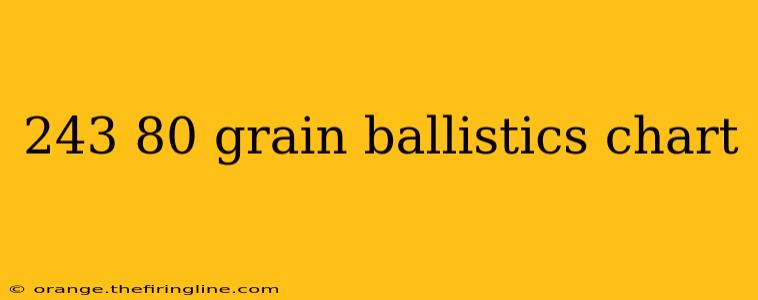 243 80 grain ballistics chart