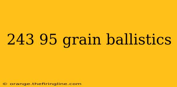 243 95 grain ballistics