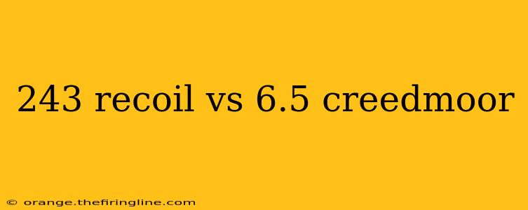 243 recoil vs 6.5 creedmoor