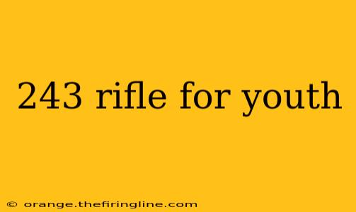 243 rifle for youth