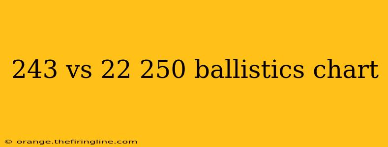 243 vs 22 250 ballistics chart