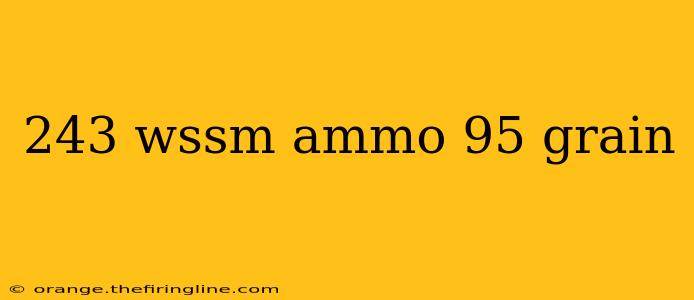 243 wssm ammo 95 grain