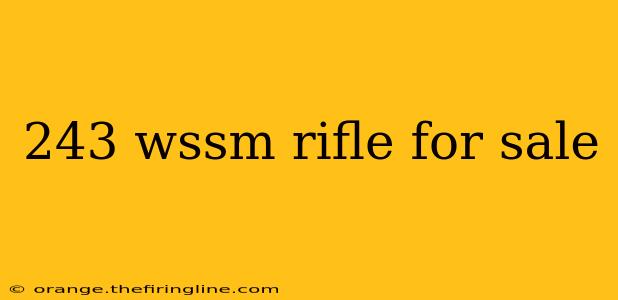 243 wssm rifle for sale