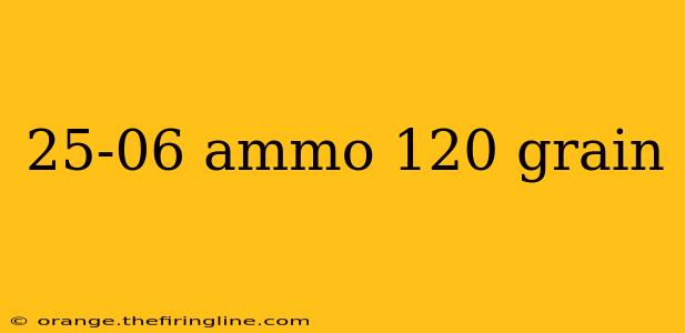 25-06 ammo 120 grain