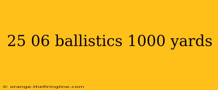 25 06 ballistics 1000 yards