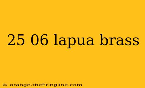 25 06 lapua brass