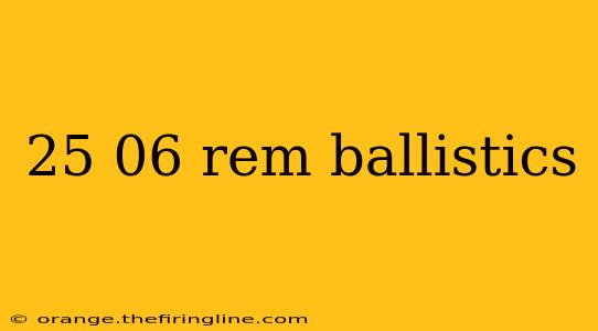 25 06 rem ballistics