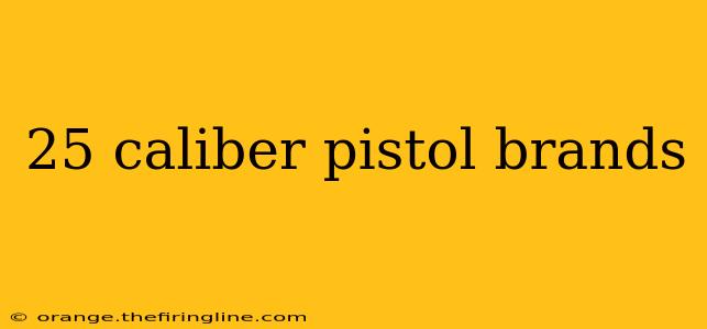 25 caliber pistol brands