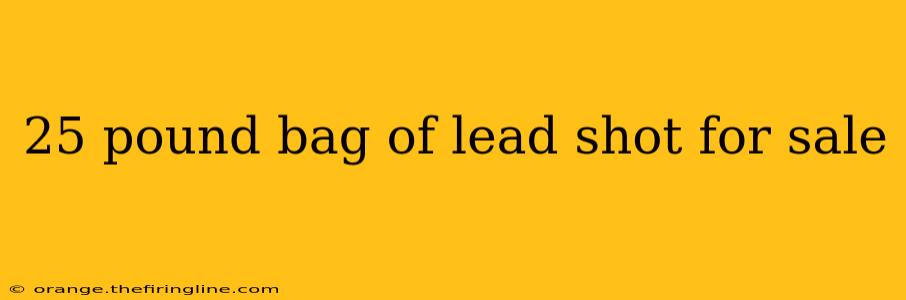 25 pound bag of lead shot for sale