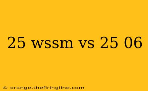 25 wssm vs 25 06