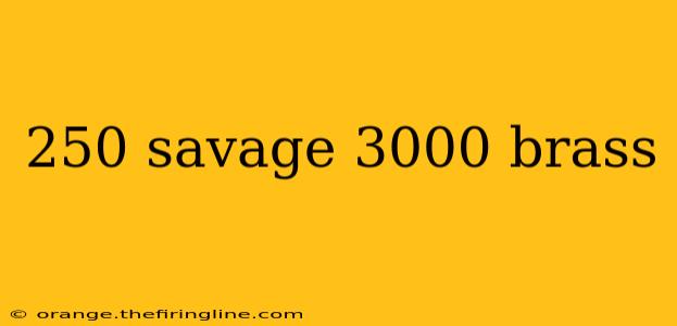 250 savage 3000 brass