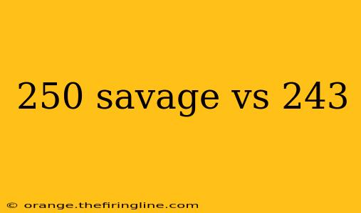 250 savage vs 243