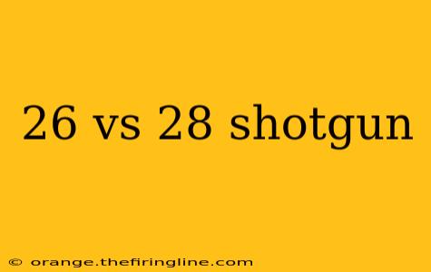 26 vs 28 shotgun