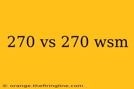 270 vs 270 wsm