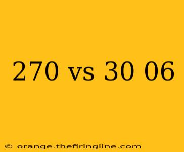 270 vs 30 06