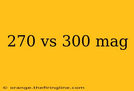 270 vs 300 mag