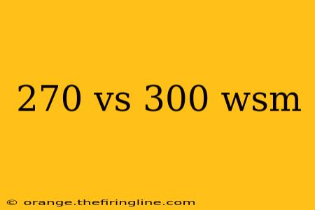 270 vs 300 wsm