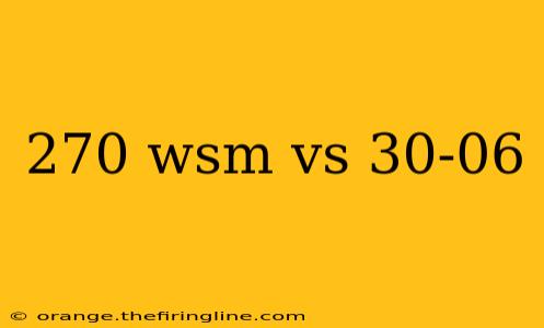 270 wsm vs 30-06