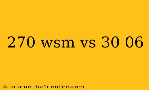 270 wsm vs 30 06