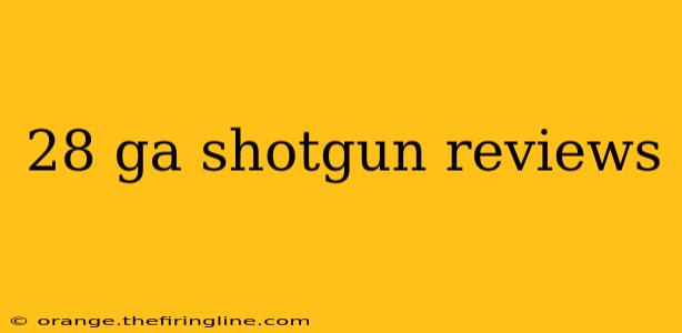 28 ga shotgun reviews