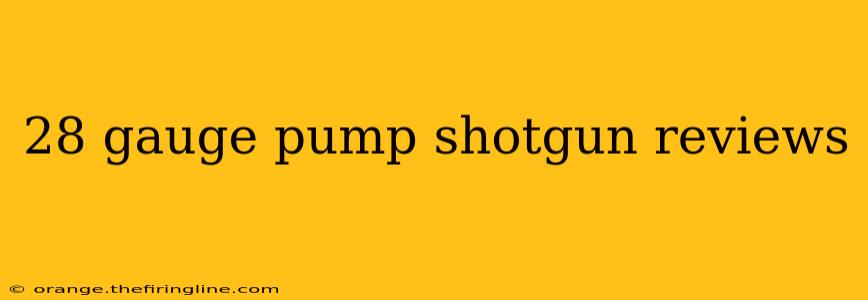 28 gauge pump shotgun reviews