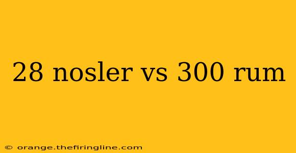 28 nosler vs 300 rum