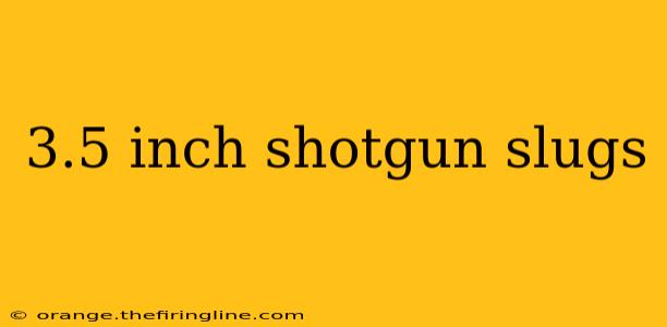 3.5 inch shotgun slugs