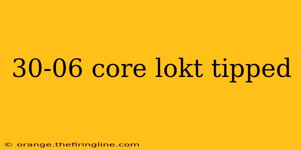 30-06 core lokt tipped