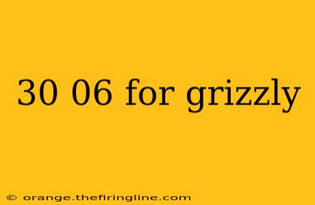 30 06 for grizzly