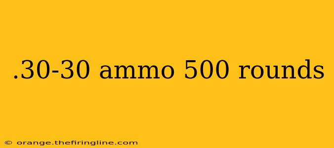 .30-30 ammo 500 rounds