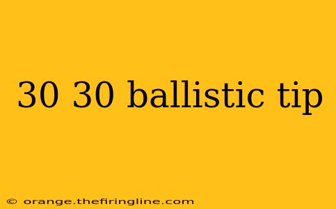 30 30 ballistic tip