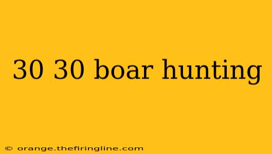 30 30 boar hunting