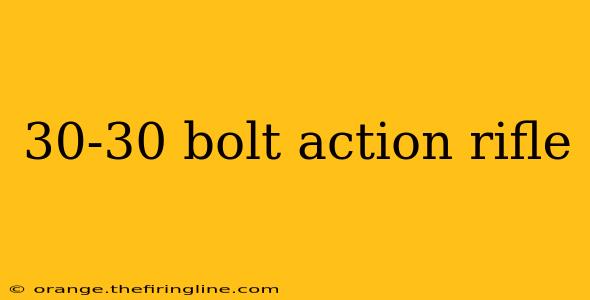 30-30 bolt action rifle