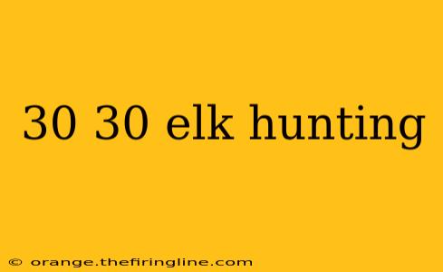 30 30 elk hunting