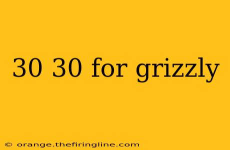 30 30 for grizzly