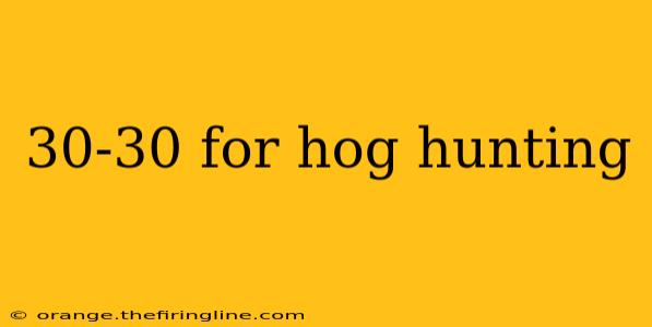 30-30 for hog hunting