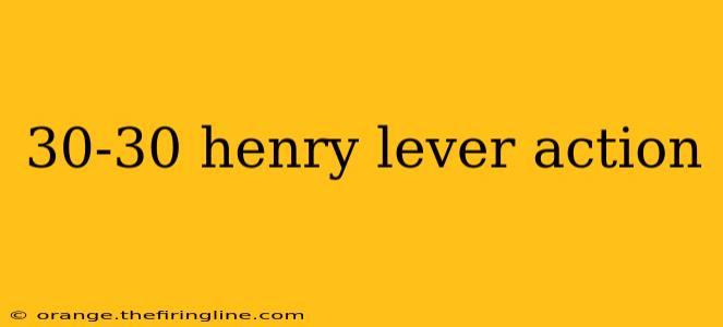 30-30 henry lever action