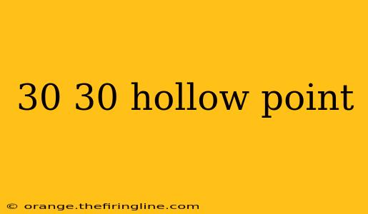 30 30 hollow point