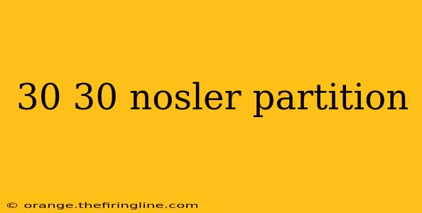 30 30 nosler partition