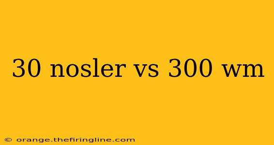 30 nosler vs 300 wm