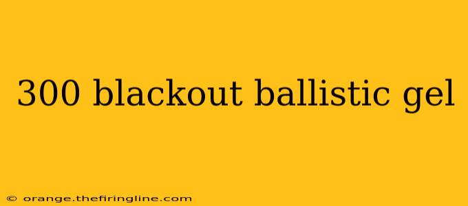 300 blackout ballistic gel