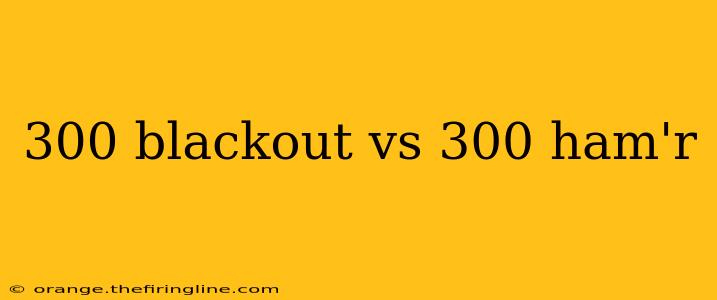 300 blackout vs 300 ham'r