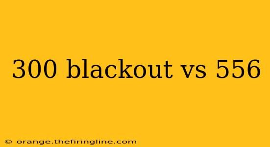 300 blackout vs 556